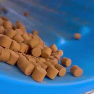 soft-chew-2